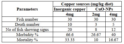 bang-5 Nano đồng oxit (CuO-NP) được cho ăn giúp tăng đề kháng chống chọi vi khuẩn gây bệnh xuất huyết ở cá rô phi