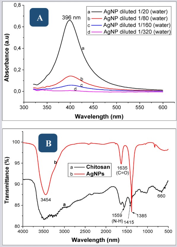 hinh-1 Nano silver kills the virus that causes foot and mouth disease (FMDV) in pigs, cows...