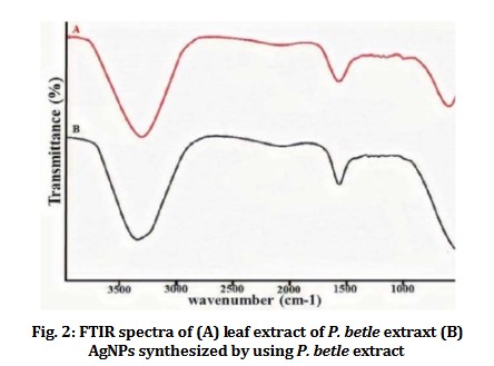 hinh-2-3 Nano silver inhibits infectious bronchitis virus in chickens (IB virus)