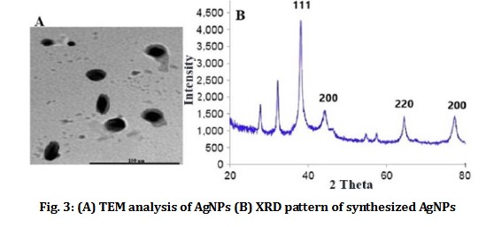 hinh-3-2 Nano silver inhibits infectious bronchitis virus in chickens (IB virus)