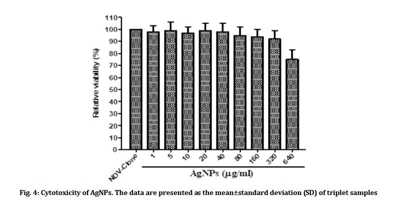 hinh-4-3 Nano silver inhibits infectious bronchitis virus in chickens (IB virus)