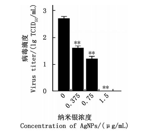 hinh-5-2 Nano silver kills the virus that causes blue ear disease (PRRS)