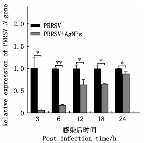 hinh-8 Nano silver kills the virus that causes blue ear disease (PRRS)